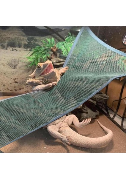 Sürüngen Hammock Geckos Sakallı Ejderha Yılan Kertenkesi Accs Oyuncak Tırmanış Yeşil (Yurt Dışından)