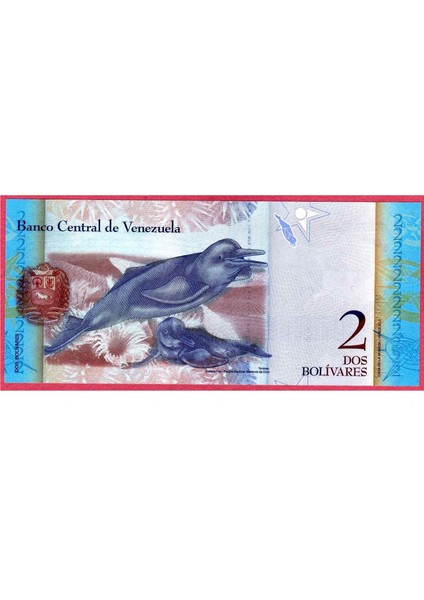 Venezuela 2012 Yılı 2 Bolivares Çil 2 ADET