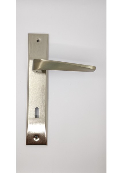 Aynalı Kapı Kolu (Oda Için) 1 Takım Saten Renk