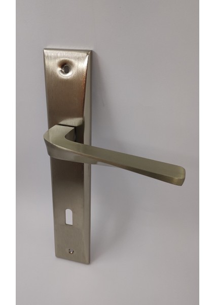 Aynalı Kapı Kolu (Oda Için) 1 Takım Saten Renk modelleri