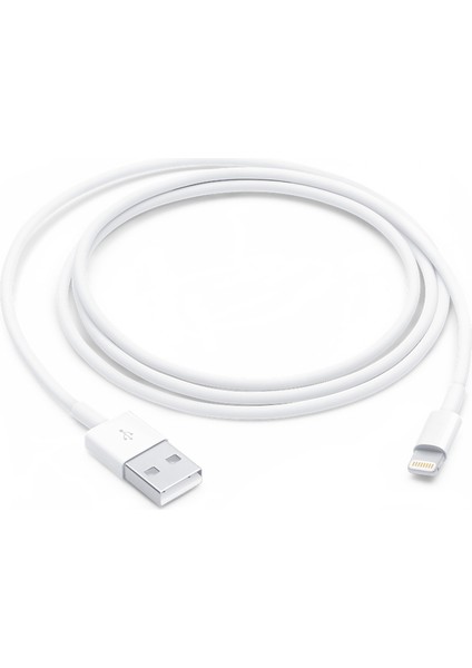 Usba To Lightning 1m Kablolu Şarj Aleti Set Beyaz