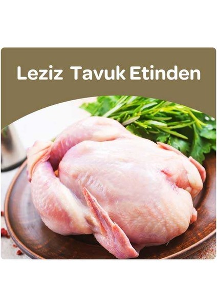 Tavuklu Kedi Maması 15 kg