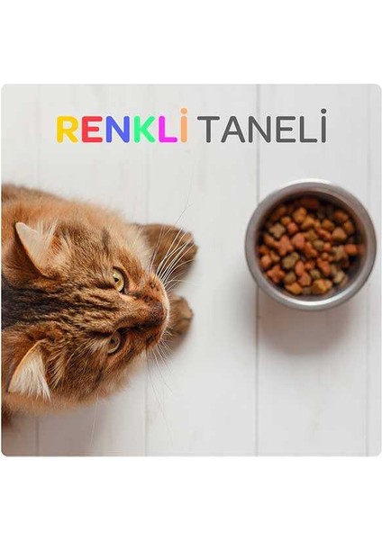 Renkli Taneli Tavuklu Kedi Maması 15 kg