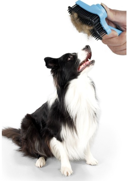 Evcil Hayvan Kedi Köpek Tüy Toplayıcı Otomatik Tuşlu Pet Tarak indirimleri