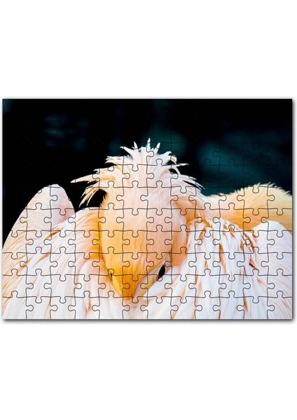 Kanatları Arasına Gömülmüş Pelikan Yakın Çekim 120 Parça Puzzle Yapboz Mdf (Ahşap)