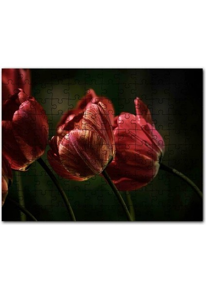 Avrupa Kasabasında Korunaklı Kale ve Dağlar 120 Parça Puzzle Yapboz Mdf (Ahşap)