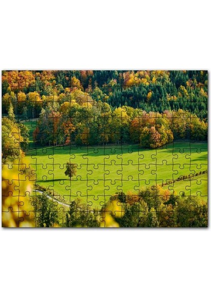 Boku No Hero Academia Todoroki Shōto Görseli 255 Parça Puzzle Yapboz Mdf (Ahşap)