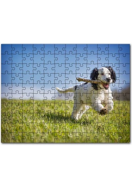 Muhteşem Güzellikte Mavi Yeşil Denizanası 255 Parça Puzzle Yapboz Mdf (Ahşap)