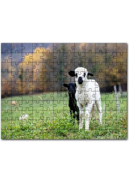Iki Martı Yakın Çekim Flu Deniz Arkaplan 120 Parça Puzzle Yapboz Mdf (Ahşap)