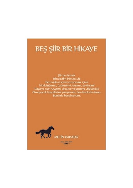 Beş Şiir Bir Hikaye