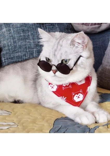 Kedi ve Küçük Irk Köpek Gözlüğü Siyah