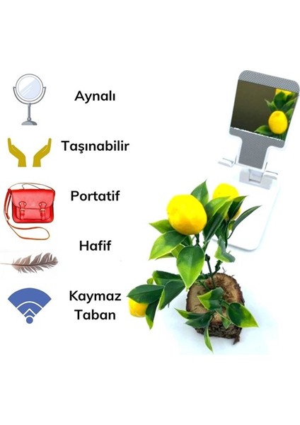 Buffer® Siyah Aynalı Cep Telefonu Sabitleyici Stand Katlanabilir Ayarlanabilir Telefon Standı