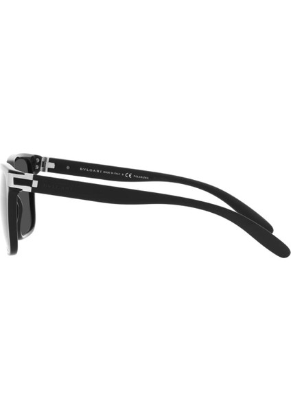BV7036 501/48 56 Polarize Kadın Güneş Gözlüğü modelleri