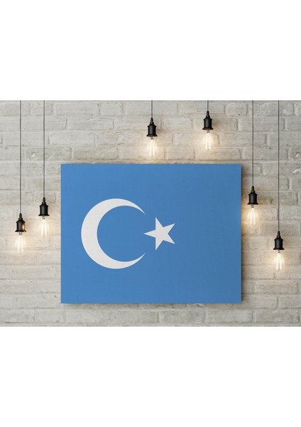 Doğu Türkistan Bayrağı Kanvas Tablo 40 x 55 cm Dekoratif Tablo