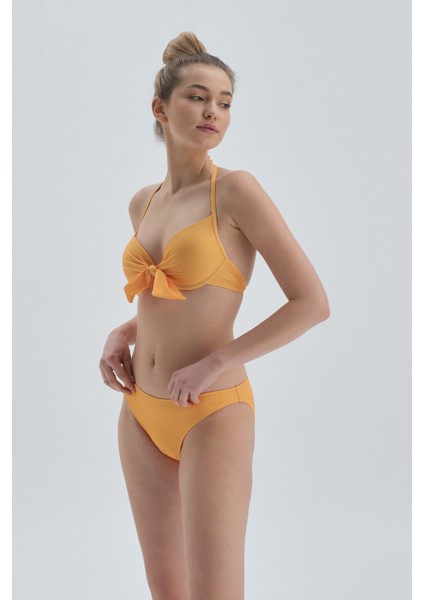 Sarı Kaplı Bikini Üstü