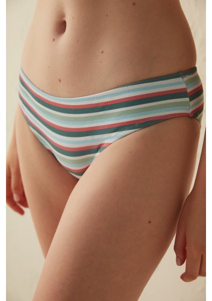 Çok Renkli Çizgili Natural Hipster Bikini Altı