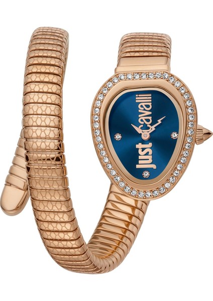 Just Cavallı JC1L167M0045 Kadın Kol Saati