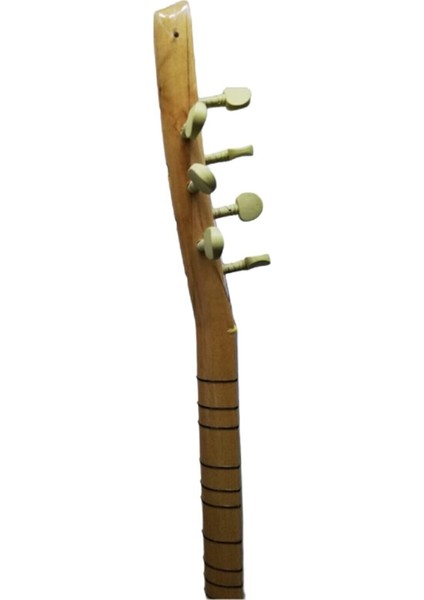 Uzun Sap Saz Bağlama Dut Set