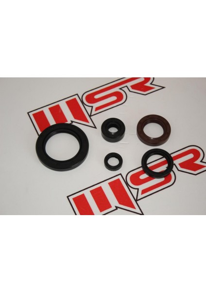 Regal Raptor DD350 / DD250 / Mr Destro 350 Yağ Keçe Seti