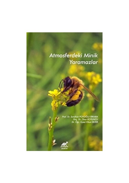Atmosferdeki Minik Yaramazlar