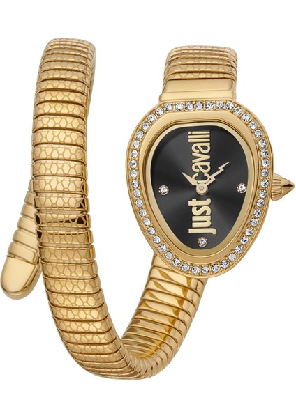 Just Cavallı JC1L167M0035 Kadın Kol Saati