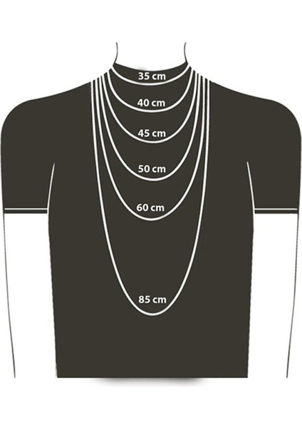 Antik Gümüş Kaplama Çift Taraflı Anime Attack On Titan Acrylic Maria Erkek Kolye modelleri