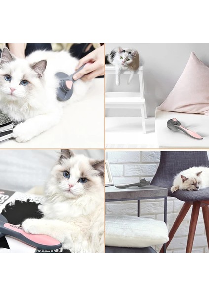 Gri Pet Tarağı(Yurt Dışından) modelleri
