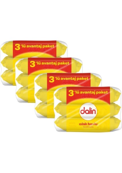 Mgy Dalin Islak Mendil 3LÜ3X56 Klasik