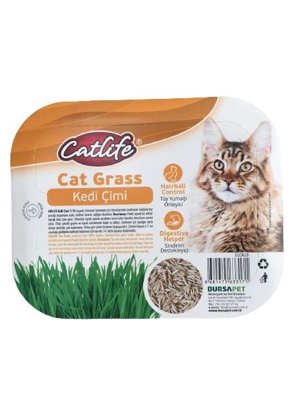 Catlife Tüy Yumağı Önleyici Sindirim Destekleyici Kedi Çimi Fileli Kedi Otu Tohumu Paket