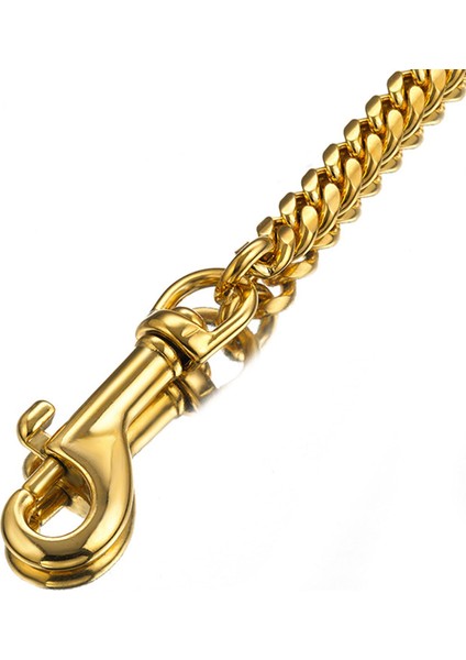 Ayarlanabilir Zincir Köpek Tasması - Altın (Yurt Dışından) indirimleri