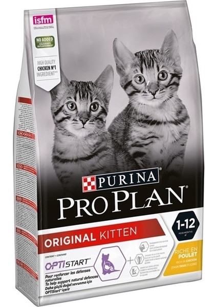 Kitten Tavuklu Pirinçli Yavru Kedi Maması 10KG