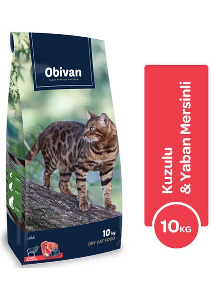 Kuzu Etli ve Yaban Mersinli Kedi Maması 10 kg