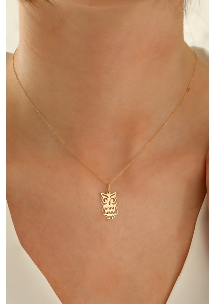 14 Ayar Altın Forze Zincir Baykuş Kolye fırsatları