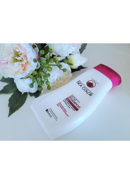 Şampuan 200 ml