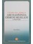 Mondros'dan Gümrü'ye Abd Basınında Ermeni Meselesi (1918 - 1920) - Hazel Kul 1