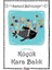 Küçük Kara Balık - Samed Behrengi 1
