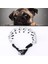 Evcil Köpekler Yüksek Kaliteli Metal Ayarlanabilir Zincire Özgü Eğitim Köpekleri Zincir Yaka, Boyut: 4.0MM*60CM( Yurt Dışından ) 1