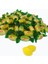 Limontat 500 gr 3