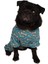 Bones Küçük Köpek Penye Tulum Pijama 1