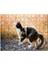 Batman Yan Profil Karanlık Arkaplan 255 Parça Puzzle Yapboz Mdf (Ahşap) 1