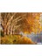 Lavanta Tarlası Yakın Çekim Detay 255 Parça Puzzle Yapboz Mdf (Ahşap) 1