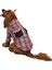 Red Plaid Kırmızı Ekose Kedi Köpek Gömleği Kedi Köpek Kıyafeti 1