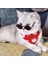 Kedi ve Küçük Irk Köpek Gözlüğü Siyah 3