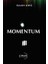 Momentum - Özlem Ziriğ 1