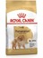 Pomeranian Yetişkin Köpek Irk Maması 1.5 kg 1