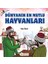 Dünyanın En Mutlu Hayvanları - Tuba Özek 1
