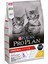 Kitten Tavuklu Pirinçli Yavru Kedi Maması 10KG 1