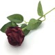 Renk Bordo