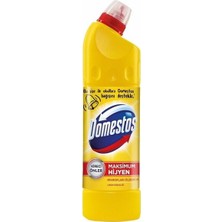 Domestos Limon Ferahlığı ve Dağ Esintisi 750 ml x 2