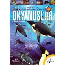 Deniz Altında Yaşam ve Okyanuslar